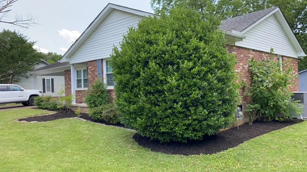 Affordable residential landscaping for outdoor upgrades across Jackson, TN - UrbanUpgrades