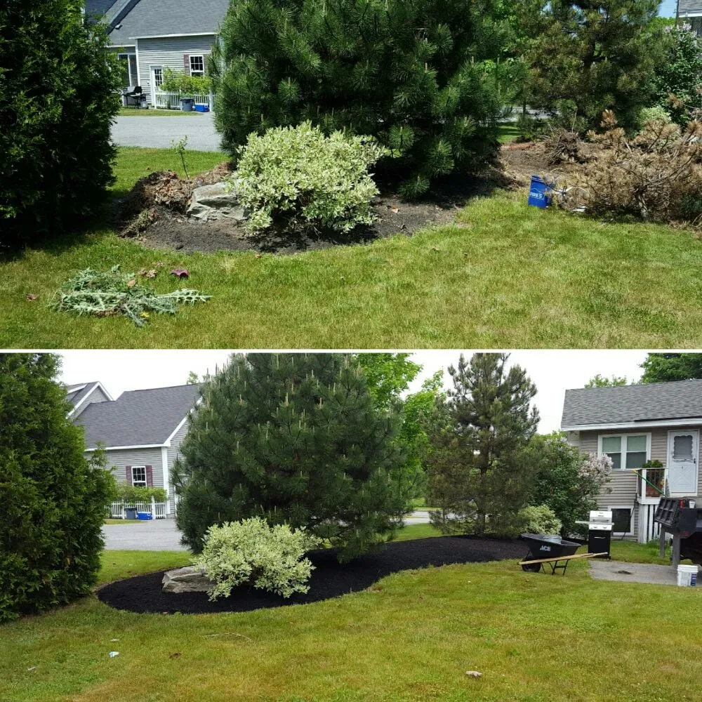 Affordable landscape design for beautiful yards across Portland, ME - UrbanYardology