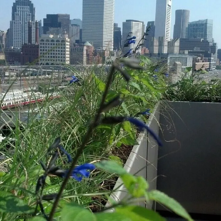 Trusted landscape design in Boston, MA - Urbgardens