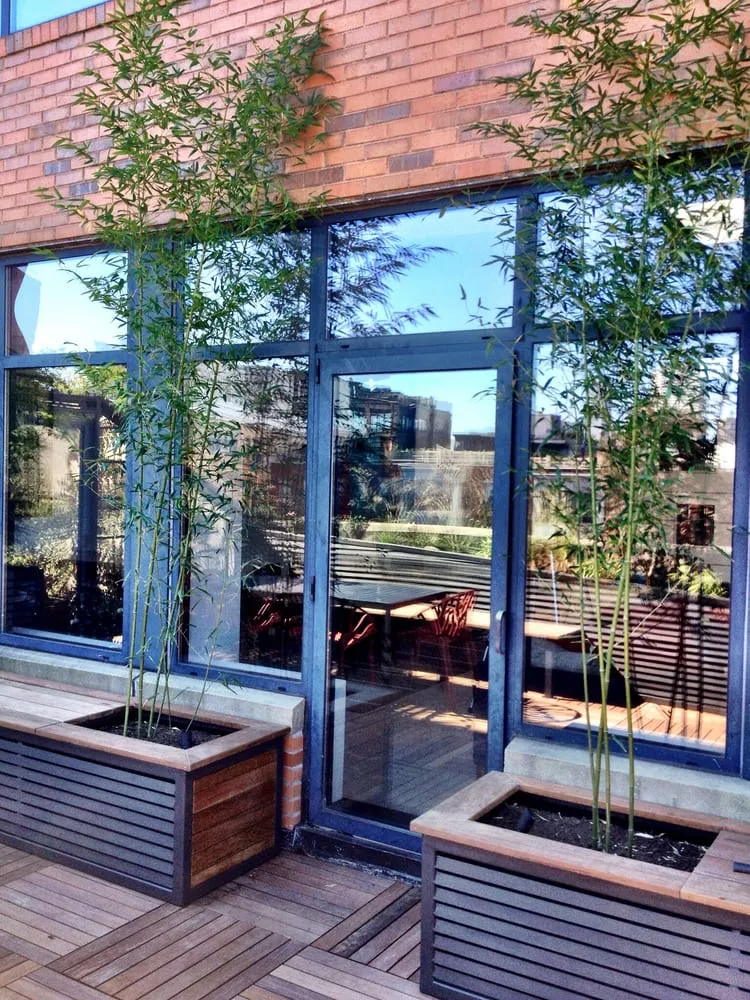 Top-rated lawn mowing service in Boston, MA - Urbgardens