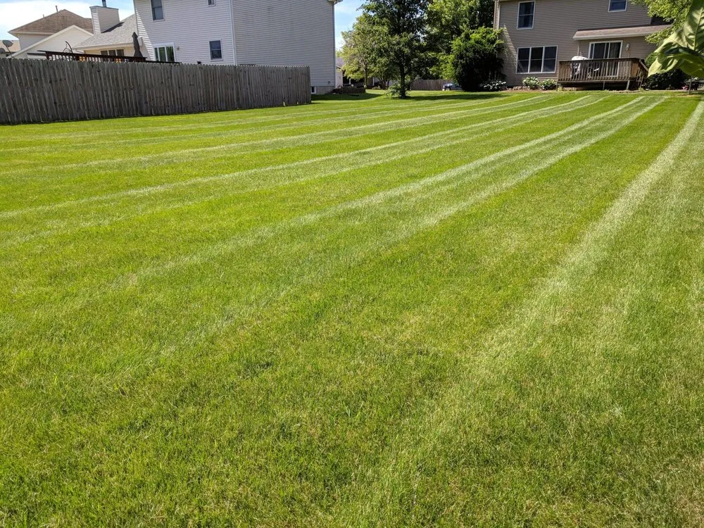 Top-rated lawn care service in Davenport, IA - Urbina Lawn Care