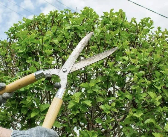 Affordable lawn mowing service experts serving Hammonton, NJ - Urbina’s Landscaping