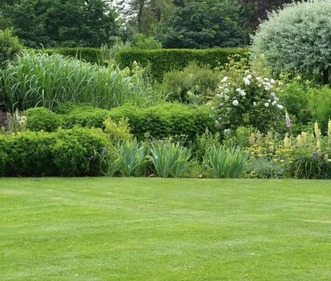 Custom yard cleanup service in Hammonton, NJ - Urbina’s Landscaping