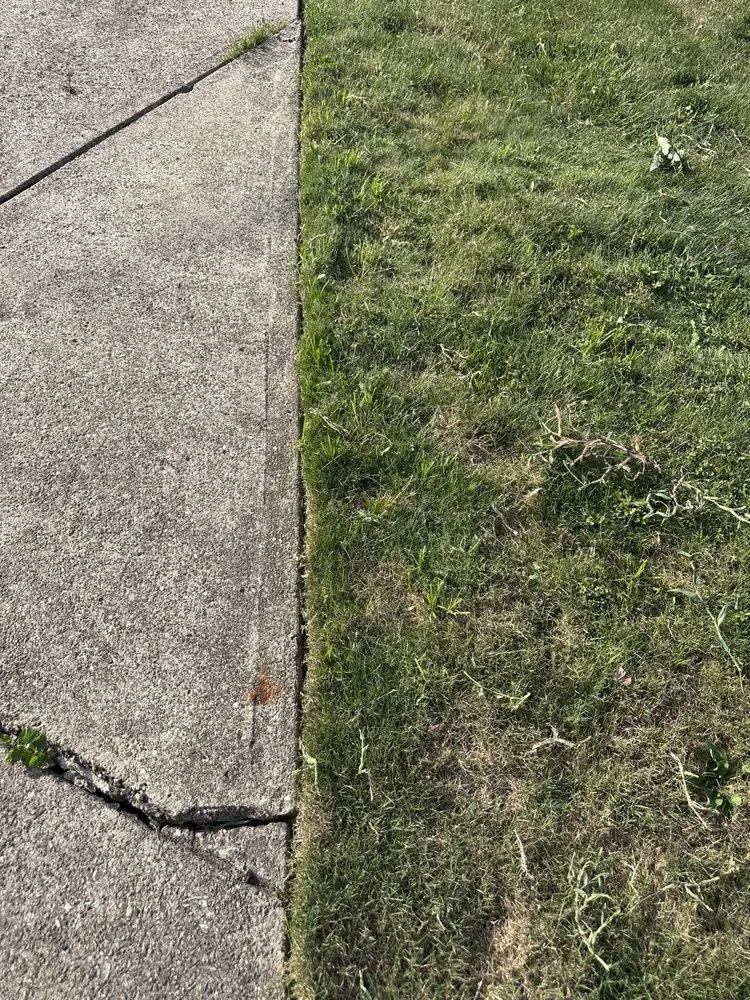 Expert yard cleanup service experts serving Parma Heights, OH - Urbs is The Word Landscaping