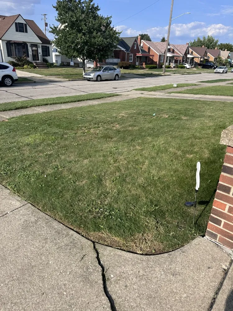 Trusted residential landscaping experts serving Parma Heights, OH - Urbs is The Word Landscaping