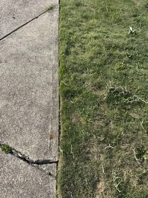 Urbs is The Word Landscaping