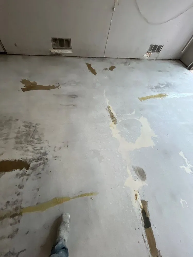 Top-rated lawn care service experts serving San Antonio, TX - Urdiales Construction