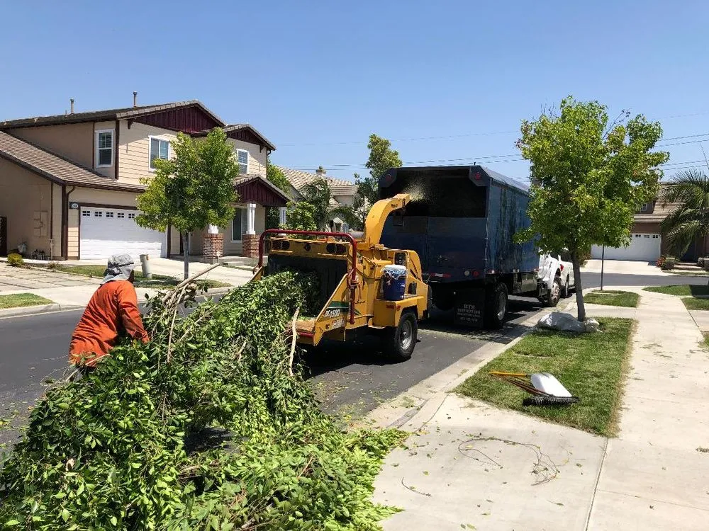 Expert yard cleanup service for outdoor upgrades in Anaheim, CA by Ureno Tree Service