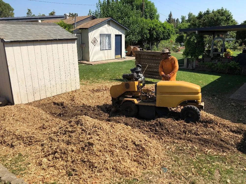 Expert lawn care service near you across Anaheim, CA - Ureno Tree Service