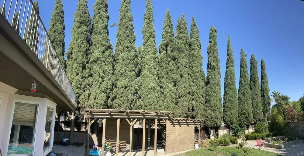 Custom garden landscaping for residential properties in Anaheim, CA by Ureno Tree Service