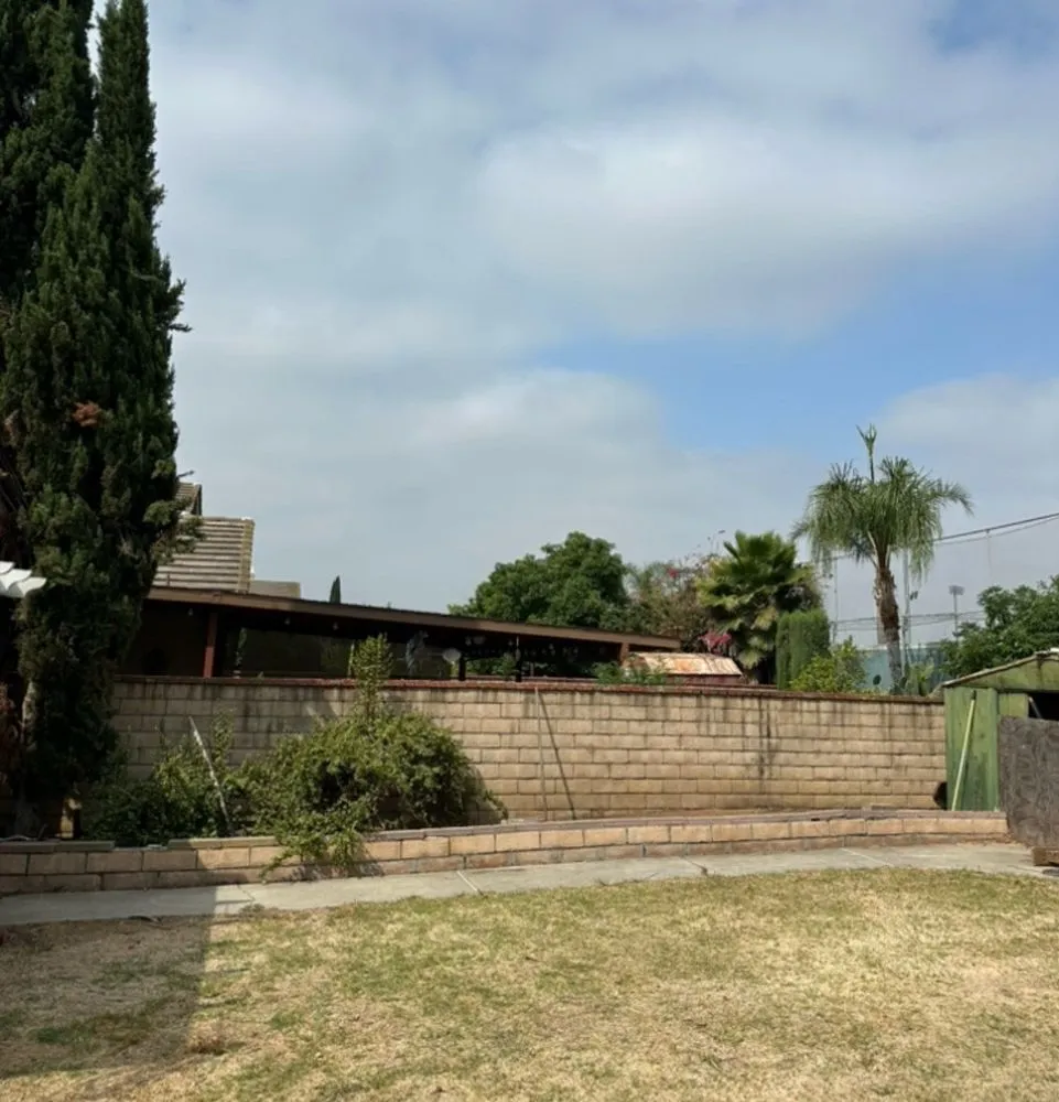 Reliable garden landscaping for year-round maintenance in Anaheim, CA by Ureno Tree Service