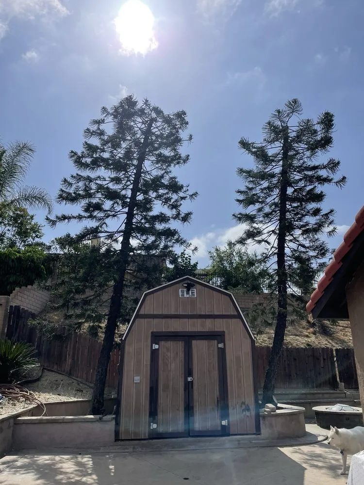 Trusted lawn care service in Anaheim, CA - Ureno Tree Service