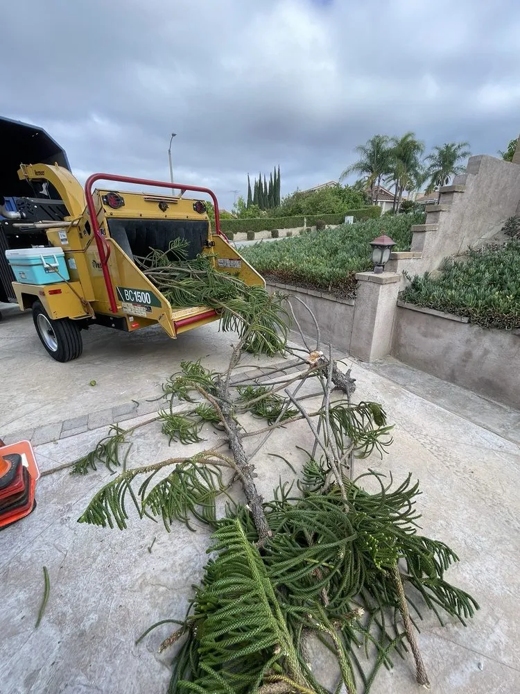 Affordable garden landscaping in Anaheim, CA by Ureno Tree Service