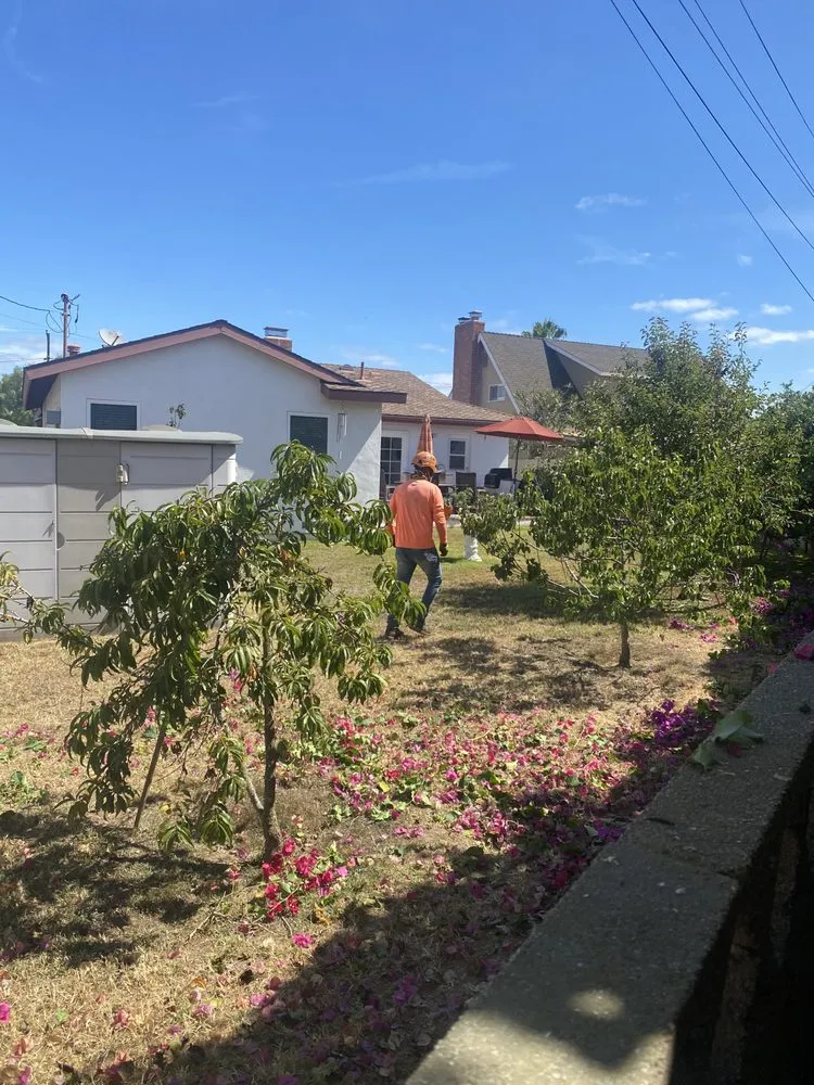 Affordable garden landscaping for beautiful yards across Anaheim, CA - Ureno Tree Service