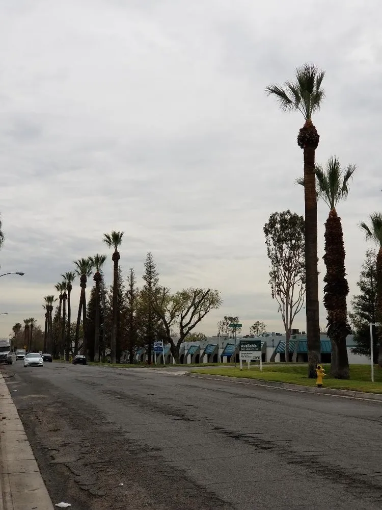 Custom yard maintenance for homes across Anaheim, CA - Ureno Tree Service