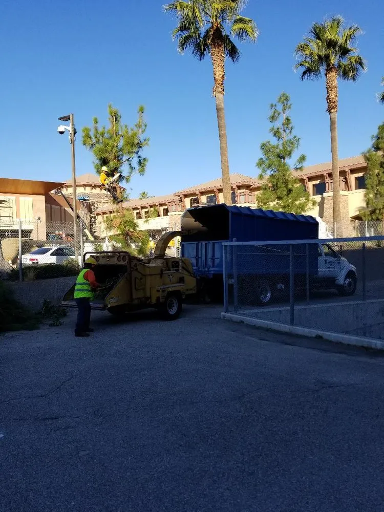 Local lawn care service with custom design across Anaheim, CA - Ureno Tree Service