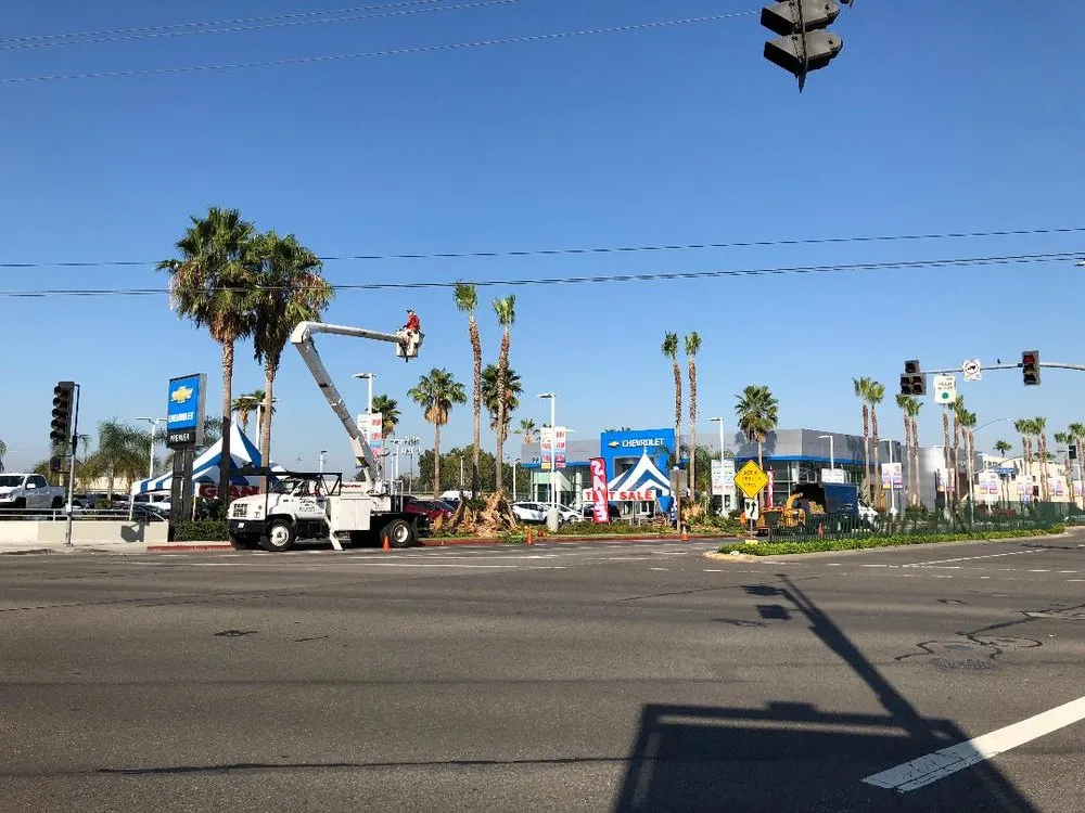 Reliable landscaping services in Anaheim, CA by Ureno Tree Service