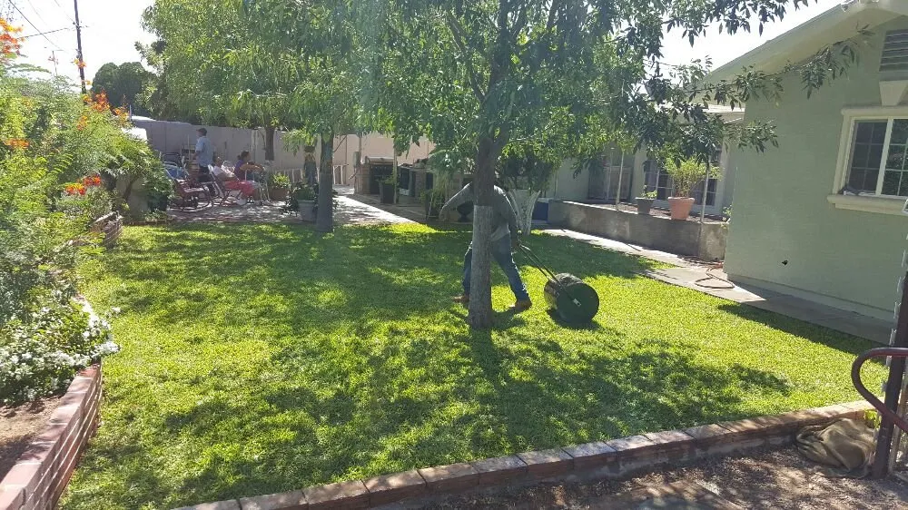 Top-rated garden landscaping in Chandler, AZ by Urias Landscaping