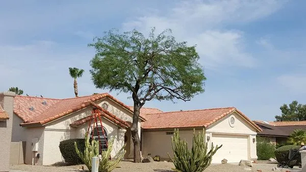 Urias Landscaping Logo