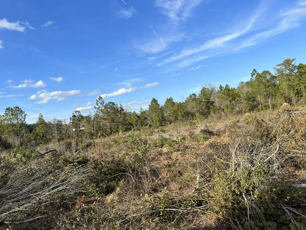 Top-rated yard cleanup service in Savannah, GA by Uribe Lawn Care