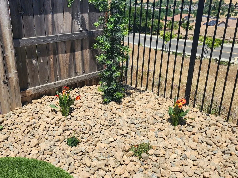 Trusted yard cleanup service in Sacramento, CA by Uribes Landscaping