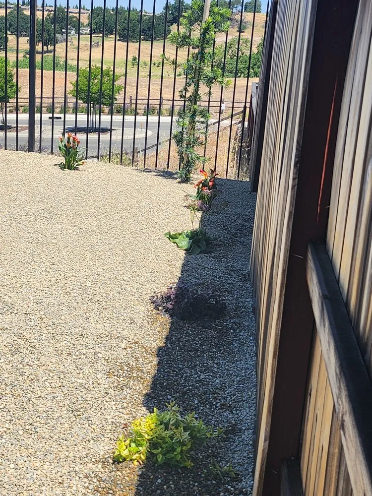 Trusted landscape installation with custom design across Sacramento, CA - Uribes Landscaping