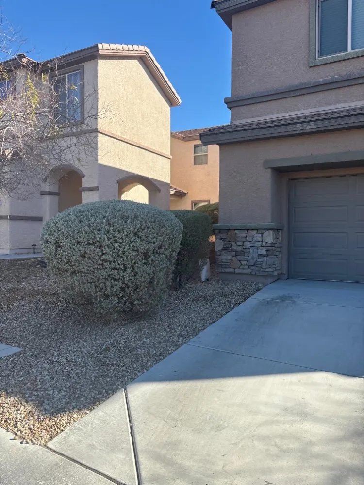 Affordable yard maintenance in Las Vegas, NV by Uribes Lawn Maintenance