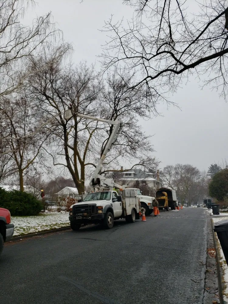 Top-rated lawn mowing service in Union Gap, WA - Uribe's Tree Service