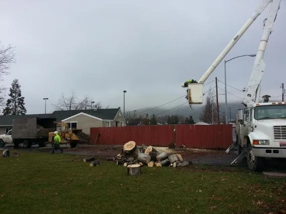 Trusted outdoor landscaping for homes in Union Gap, WA by Uribe's Tree Service