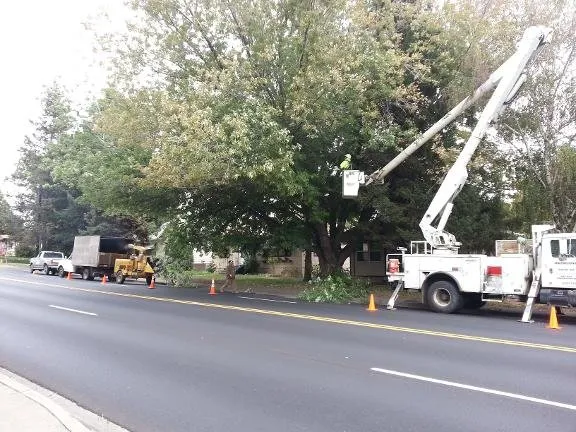 Reliable outdoor landscaping in Union Gap, WA by Uribe's Tree Service