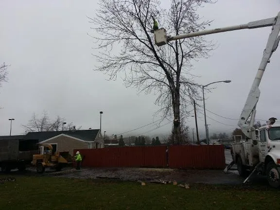 Local garden landscaping experts serving Union Gap, WA - Uribe's Tree Service