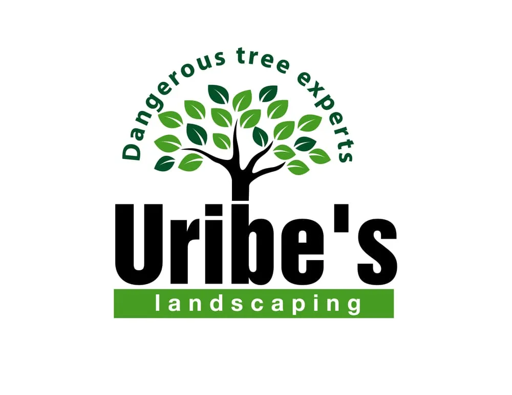 Professional lawn care service in Union Gap, WA - Uribe's Tree Service