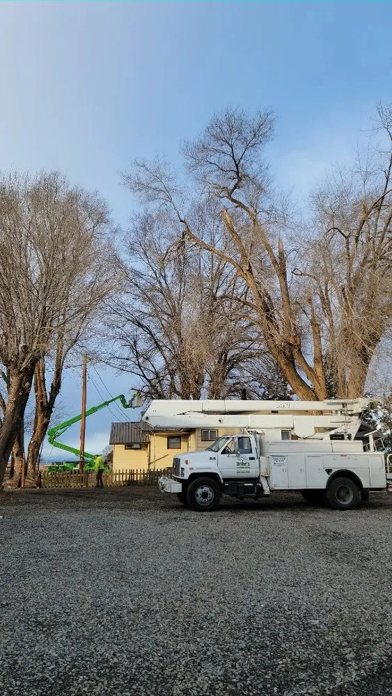 Affordable yard maintenance in Union Gap, WA - Uribe's Tree Service
