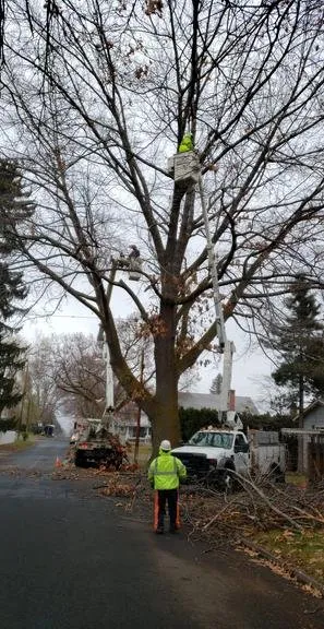 Local outdoor landscaping with custom design across Union Gap, WA - Uribe's Tree Service