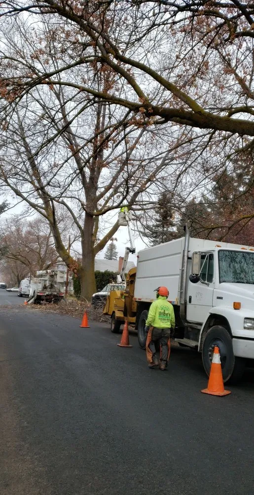 Affordable outdoor landscaping with custom design across Union Gap, WA - Uribe's Tree Service
