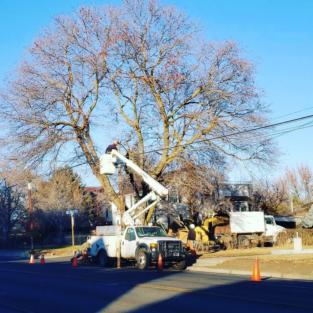 Professional outdoor landscaping in Union Gap, WA - Uribe's Tree Service