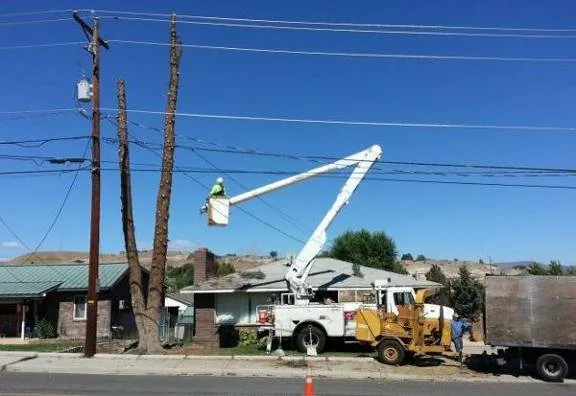 Top-rated lawn care service experts serving Union Gap, WA - Uribe's Tree Service