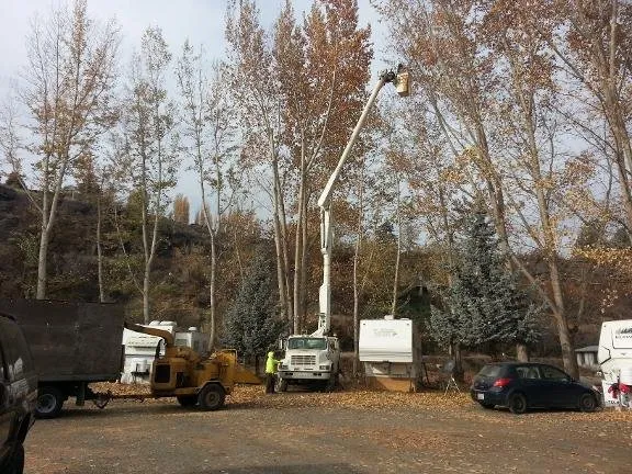 Reliable yard maintenance for year-round maintenance in Union Gap, WA by Uribe's Tree Service