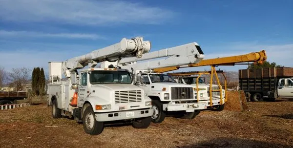Uribe's Tree Service