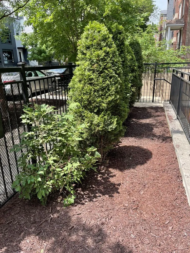 Professional landscaping services for outdoor upgrades in Chicago, IL by Urich Services