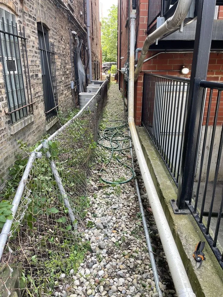 Affordable landscaping services for beautiful yards across Chicago, IL - Urich Services