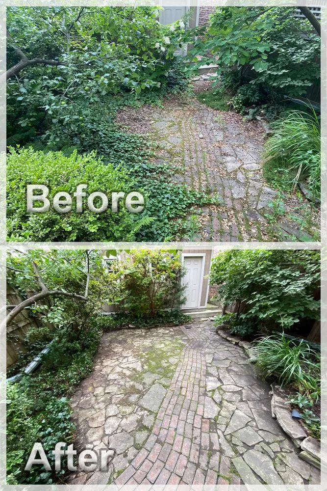 Affordable landscaping services in Chicago, IL - Urich Services