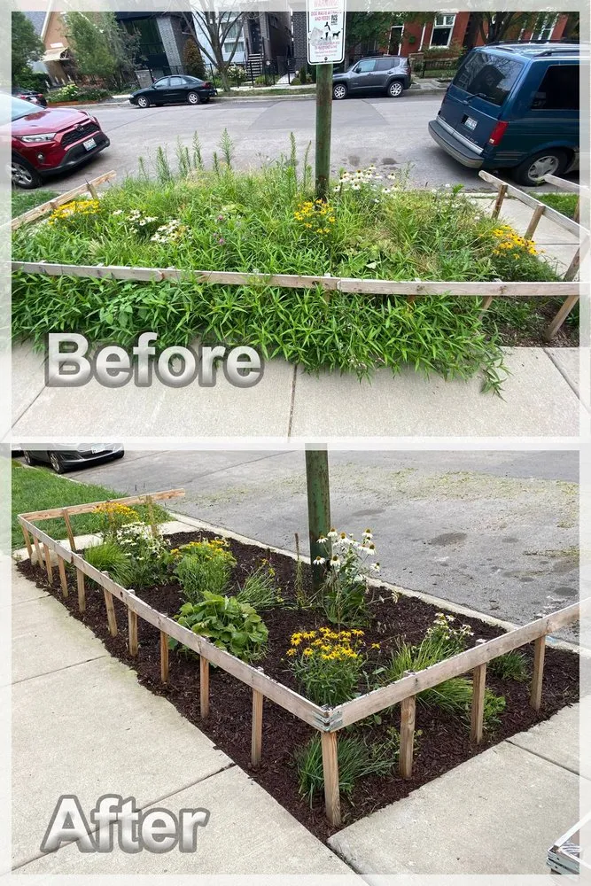 Expert yard maintenance experts serving Chicago, IL - Urich Services