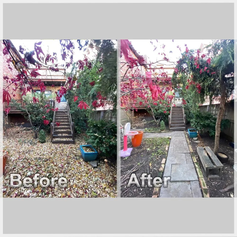 Reliable lawn mowing service for beautiful yards across Chicago, IL - Urich Services