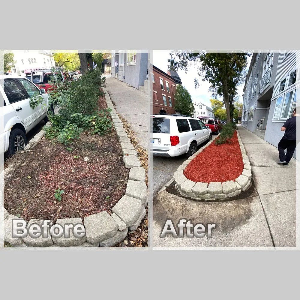 Professional yard maintenance near you in Chicago, IL by Urich Services