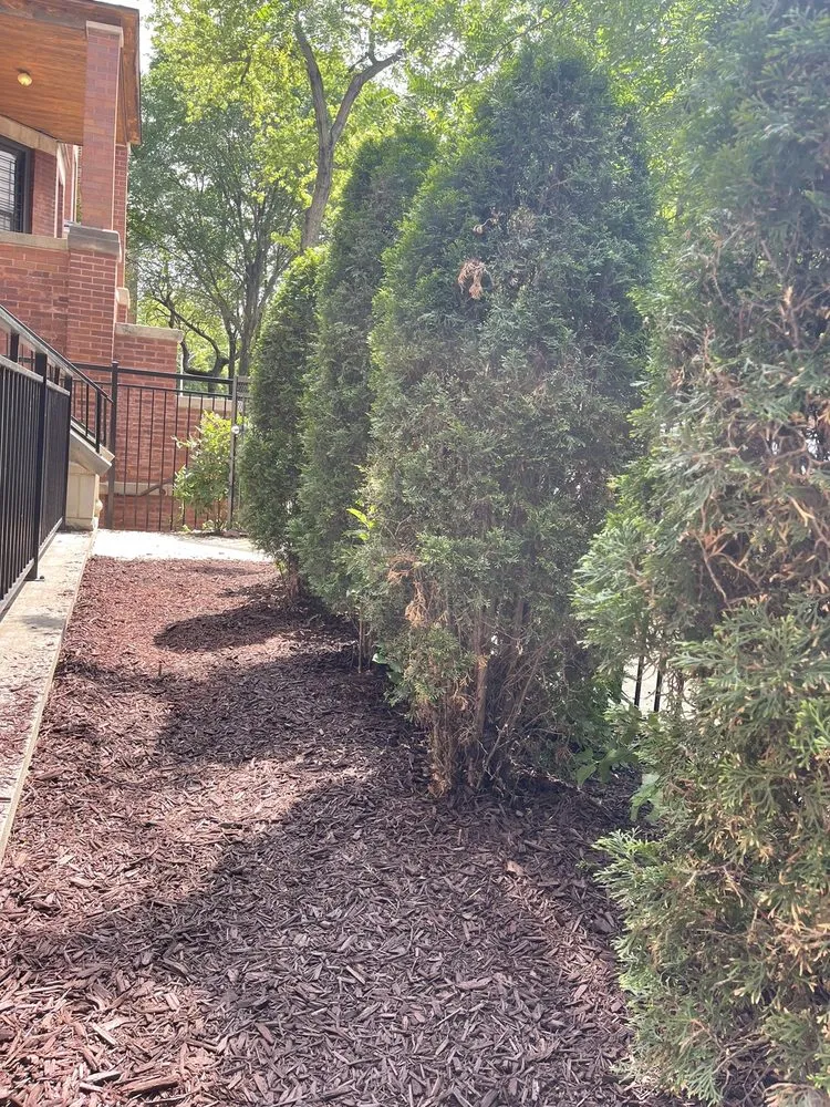 Affordable lawn mowing service near you in Chicago, IL by Urich Services