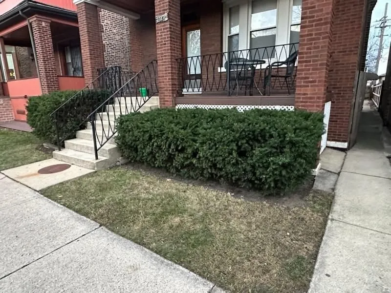 Custom yard cleanup service in Chicago, IL - Urich Services