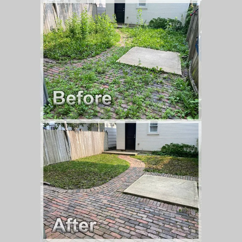 Professional landscape design with custom design across Chicago, IL - Urich Services