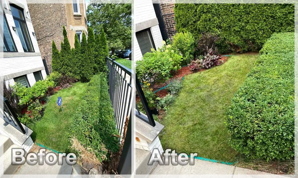 Expert outdoor landscaping in Chicago, IL - Urich Services