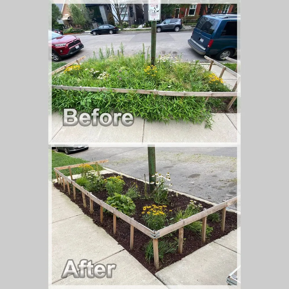 Custom lawn mowing service in Chicago, IL by Urich Services